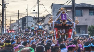 《早朝4時》令和6年  神奈川県  浜降祭2024  茅ヶ崎市　鉄砲通り 南湖中央交差点  神輿24基 練り歩き　暁の祭典