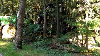 Bomen omzagen,oude Markelose weg Rijssen