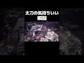 最高の瞬間【モンスターハンターワールドアイスボーン】 モンハン mhwib ゲーム実況