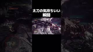 最高の瞬間【モンスターハンターワールドアイスボーン】#モンハン #mhwib #ゲーム実況