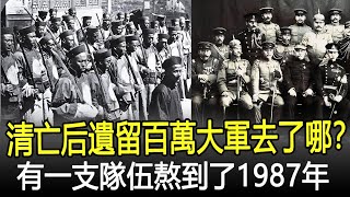 清朝滅亡后，遺留的百萬大軍去了哪裡？有一支隊伍居然熬到了1987年！#清朝#溥儀#慈禧#歷史#奇聞#考古#文物#國寶#歷史風雲天下