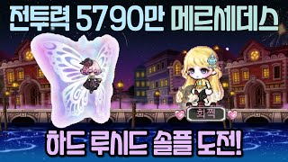 [메이플] 전투력 5790만 메르세데스 하드 루시드 솔플 도전!