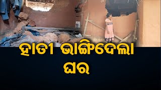 ହାତୀ ଭାଙ୍ଗିଦେଲା ଘର | Odisha Reporter