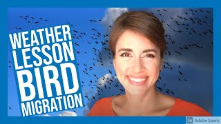 Weather Lessons With Alexandra Bird Migration