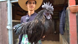 Conheça o jovem que empreendeu na criação de aves exóticas com apenas 10 anos!