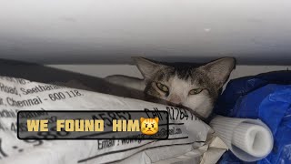 😾He found new sleeping place for him😏 | Salt #cat #catlovers #shorts #youtubeshorts #viralvideos