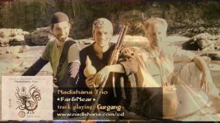 NADISHANA TRIO (Nadishana - Armin Metz - Steve Shehan) \