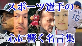 Playtube Pk Ultimate Video Sharing Website