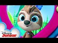 Sunny the Sloth | Calling All T.O.T.S. | T.O.T.S. | Disney Junior