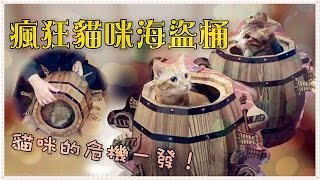 【魚乾】貓物開箱 - 瘋狂貓咪海盜桶！貓咪的危機一發！