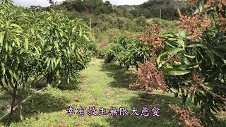 讚美詩_445 恩典大過我罪愆