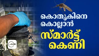 കൊതുകിനെ ​കൊല്ലാൻ​ സ്മാർട്ട് കെണി | Gulf Madhyamam | Gulf News Malayalam