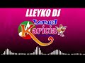 Mix Sensual Karicia ( Antiguas De Oro ) - Cumbia Sanjuanera - Lleyko Dj