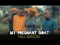 MY PREGNANT GOAT FULL SEASON