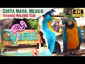 Costa Maya, Mexico | Aviarius (Bird Aviary) - 4K Port Shore Excursion Walking Tour