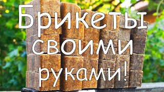 Как сделать брикеты для рыбалки своими руками !