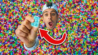 Find the Gummy Bear in Jelly Bean Pool - $10,000 Challenge