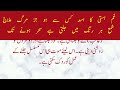 aah ko chahiye ik umar explanation تشریح آہ کو چاہیے اک عمر اثر ہونے تک mirzaghalib poetry