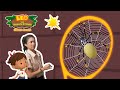 🕷️ WHERE'S THE SPIDER? 🕷️ | Golden Orb Spider | Leo the Wildlife Ranger | #minisode