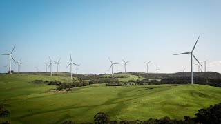 ‘They'll just sit there’: Wind turbine blades 'dumped' in forest