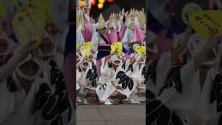 ささ連 が来る。カッコいいでしょ　阿波おどりAwaodori in Tokushima Japan  #shorts#Awaodori