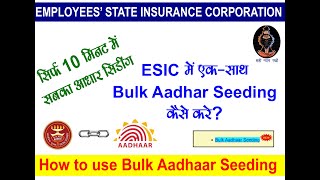 How to do bulk Aadhaar seeding in ESI | ESI me bulk aadhaar seeding kaise kare | ESIC Bulk Aadhaar