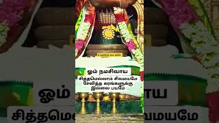 சனிப்பிரதோஷம் தீப ஆராதனை ஓம் நமசிவாய வாழ்க வளமுடன்