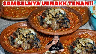 MUANTAP POLL!! SAMBEL BELUT LARIS MANIS HABIS SAMPE 1 KWINTAL PER HARI!!