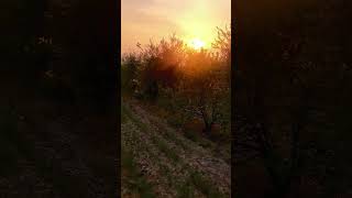 बेवफा  | Bewafa Itna Ehsaan-Full Video - Baabarr Mudacer ,Nusrat Feteh Ali Khan Sab