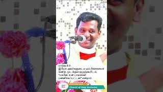 நிலைவாழ்விற்கான பயணமே: திருப்பலி | Fr. Varghese VC | Holy Eucharist Church | Thirumullai Voyal