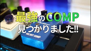 最強のCOMP見つかりました。Providence VELVET COMP  VLC-1