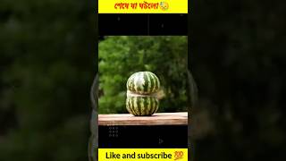 তরমুজ কাটার অদ্ভুত পদ্ধতি 😱 #shorts #short #shortsfeed #ytshorts #live #vairalvideo