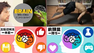 ノルウェー式HIIT with脳のメカニズムの話