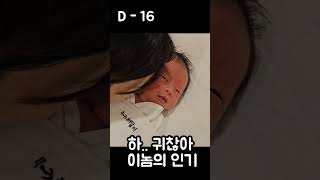 엄마 아빠가 귀찮은 인생 16일차 #신생아