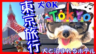 【犬連れ東京旅行】絶景東京タワーから癒しの増上寺、犬と泊まれるホテル＆絶品グルメまで一挙紹介🐶 【目黒川の桜満開】