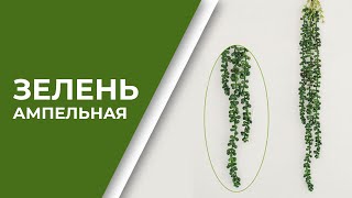 Ампельная зелень | искусственная зелень