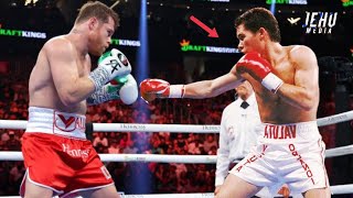 TOP 20 JULIO CESAR CHAVEZ KNOCKOUTS (BOXING HIGHLIGHTS)