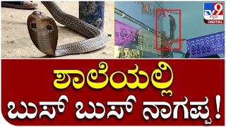 Haveri: ಗುತ್ತಲ ಪಟ್ಟಣದ ಶಾಲೆಯಲ್ಲಿ ನಾಗರಹಾವು ಪ್ರತ್ಯಕ್ಷ | Tv9 Kannada