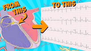 12 Lead ECG (Electrocardiogram) for beginners 🔥🤯.