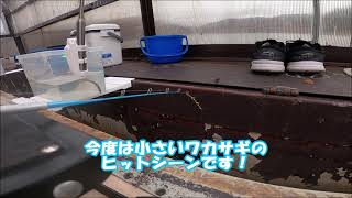 令和3年11月4日（木）桧原湖『やまぐっち』さんワカサギ釣行！！