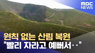 원칙 없는 산림 복원 \