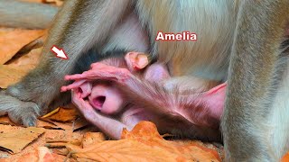 Adorable baby Amelia kisses her mother Anna to comfort her and asks for milk