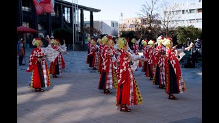 小江戸KAWAGOE新春よさこい 第二部　舞人「#furusato」