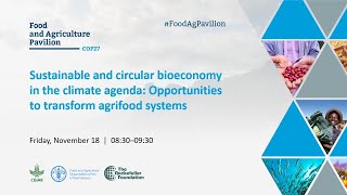 Sustainable, circular bioeconomy in the climate agenda: Opportunities to transform agrifood systems