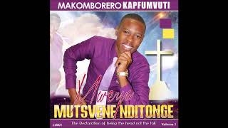 Tenzi Taungana - Makomborero Kapfumvuti