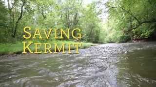 Saving Kermit – Research @ Allegheny