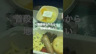 28歳 独身 日本帰りの大韓航空🇰🇷機内食朝ごはんなんてこんなもん　feat.スクランブルエッグ　#shorts