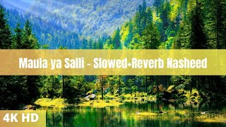 Maula ya Salli - Muza (Slowed+Reverb) Arabic Nasheed || Beautiful Nature With Islamic Relaxing Music
