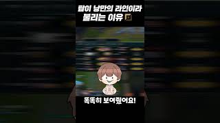 탑이 낭만의 라인이라 불리는 이유