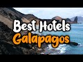 Best Hotels In Galapagos - For Families, Couples, Work Trips, Luxury & Budget